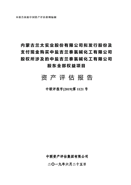 资产评估年度报告(资产评估复核报告准则)